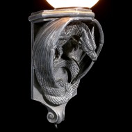 Dračí lampa (53)