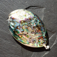 Abalon Shell přívěsek
