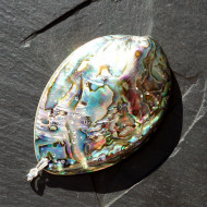 Abalon Shell přívěsek
