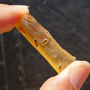 Jantar surový (466)